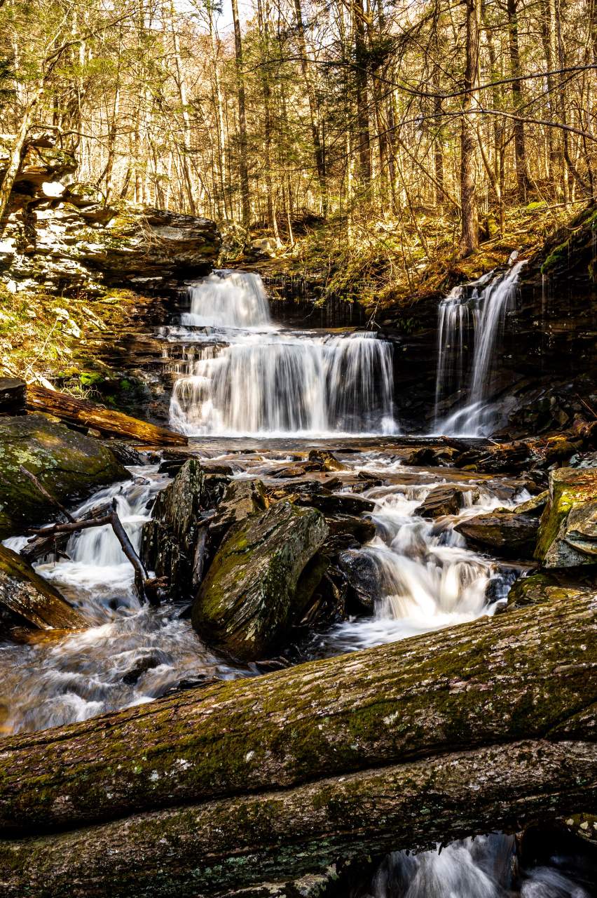 Ricketts Glen State Park
