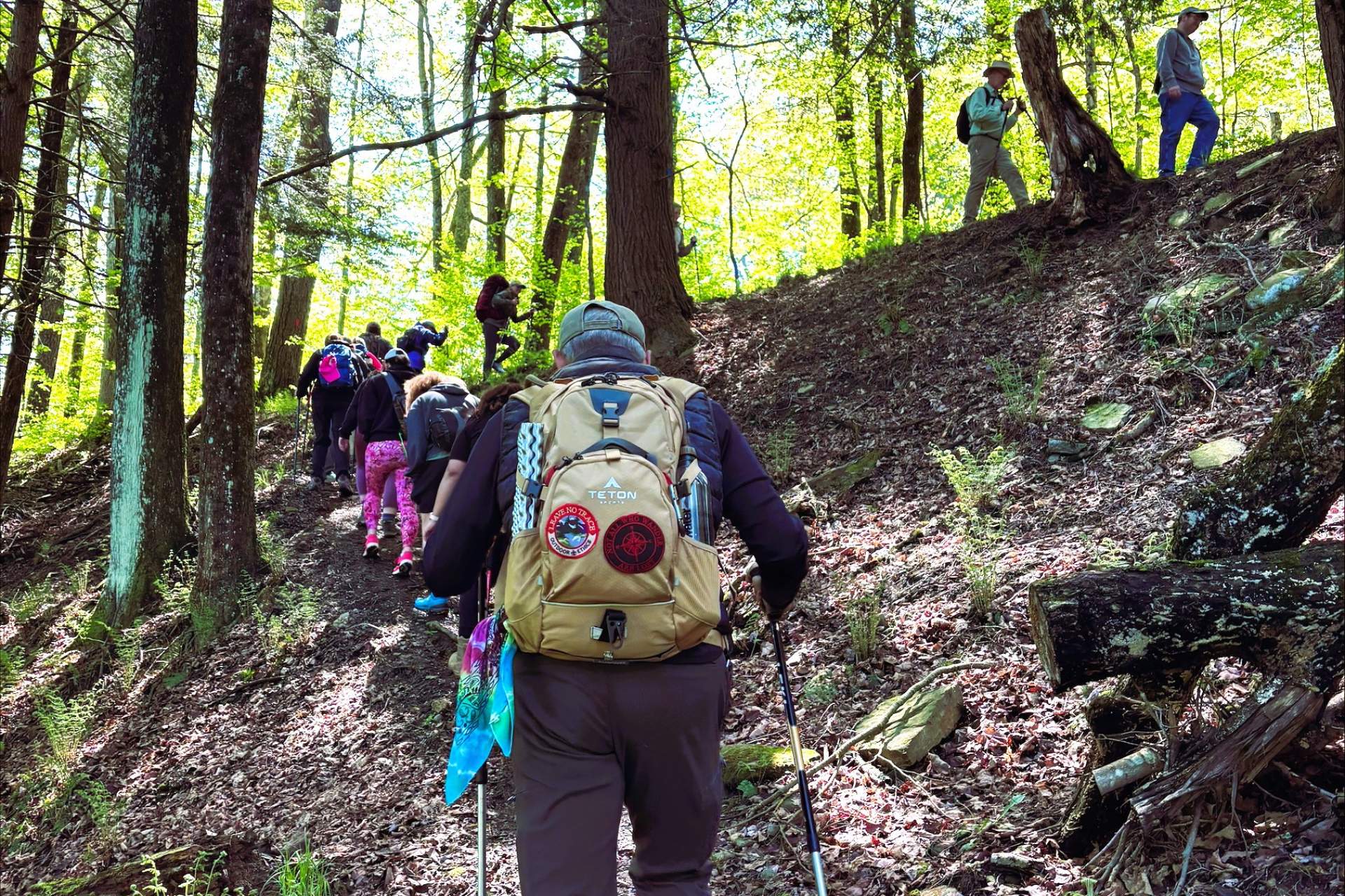 Small Business Support Hikes Salt Springs Park