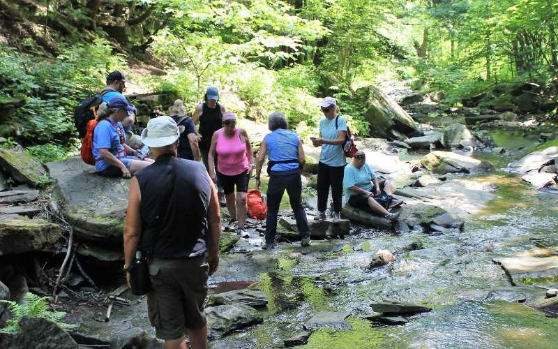 Salt Springs State park Pic