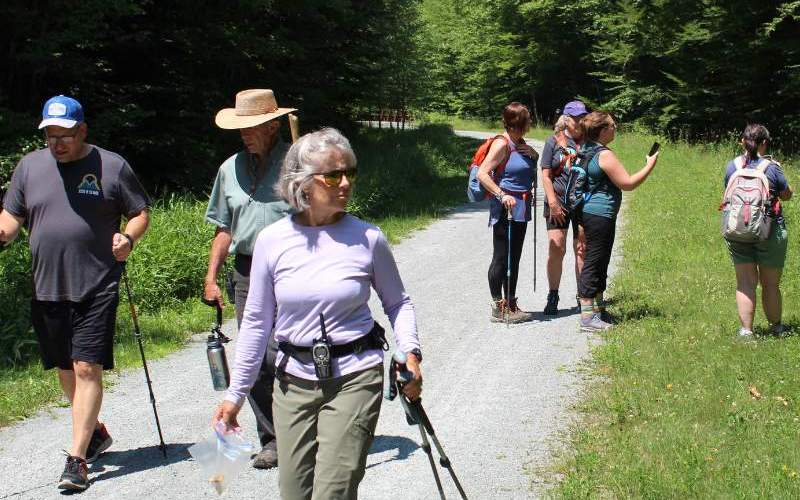 Pinchot State Forest pic